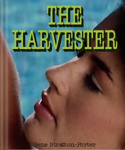 Cover Art for The Harvester