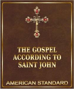 Cover Art for The Gospel According to Saint John