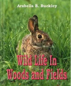 Cover Art for Wild Life in Woods and Fields