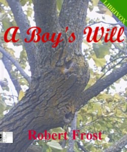 Cover Art for A Boy's Will