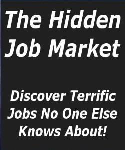 Cover Art for The Hidden Job Market:Discover Terrif...