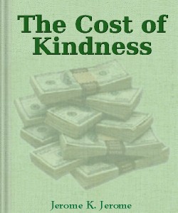 Cover Art for The Cost of Kindness