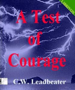 Cover Art for A Test of Courage