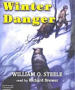 Cover Art for Winter Danger