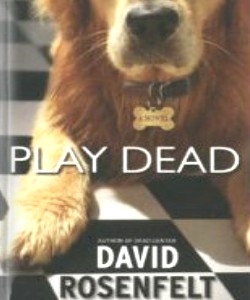 Cover Art for Play Dead