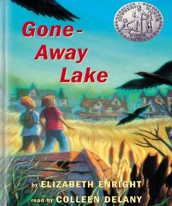 Cover Art for Gone-Away Lake