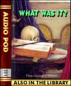 Audio Book What Was It?